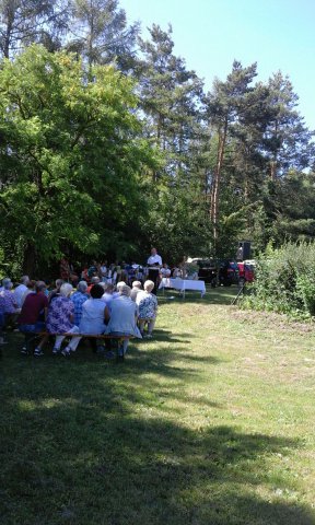 Sommer 20162 (2)